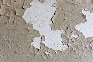 Yüzeyi gri kabuklu, pürüzlü, pürüzlü, bazı yerlerde düşmüş. Kavram - yaratıcılık için arkaplan