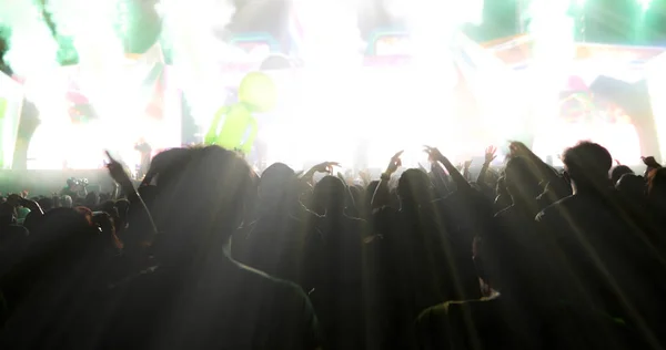 Verschwommene Silhouetten Von Konzertbesuchern Der Rückansicht Von Festivalbesuchern Die Ihre — Stockfoto