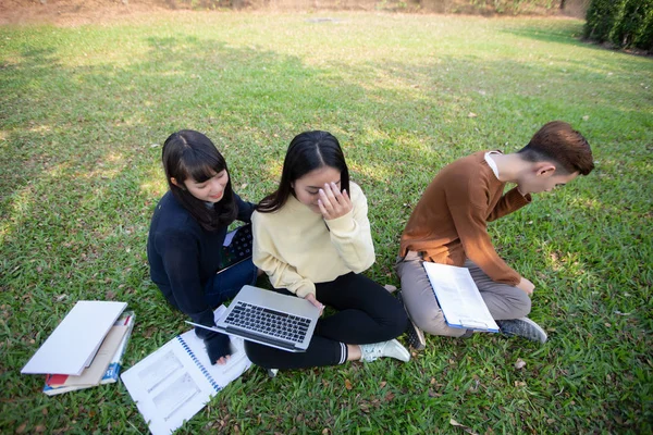 Groep Van Studenten Van Universiteit Aziatische Zittend Het Groene Gras — Stockfoto