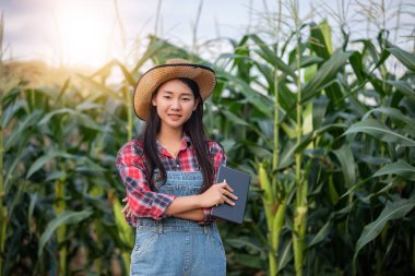 Asya kadın Agronomist ve çiftçi Tarım ve mısır Alanında teftiş için Teknoloji kullanma
