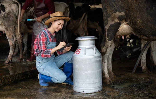 Mulher Asiática Fazenda Laticínios Agricultura Indústria Agrícola Conceito Criação Animais — Fotografia de Stock