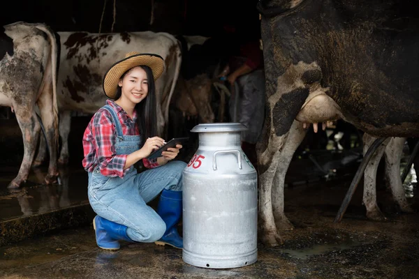 Asian woman on dairy farm, farming and agriculture industry, animal husbandry concept - young woman or farmer with tablet pc computer and cows in cowshed on dairy farm with cow milking machines