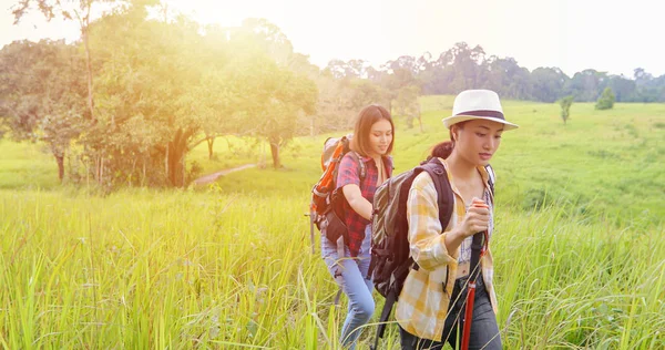 Asiático Grupo Jóvenes Senderismo Con Amigos Mochilas Caminando Juntos Mirando — Foto de Stock