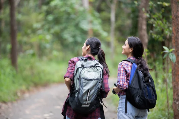 Asiático Grupo Jóvenes Senderismo Con Amigos Mochilas Caminando Juntos Mirando — Foto de Stock