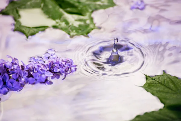 盛开的丁香花随水而下 春雨落下 抽象背景 — 图库照片