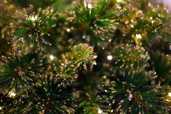 Abstraktní Rozostřený Pozadí Vánoční Dekorace Led Světlo Bokeh Detailní Foto — Stock fotografie