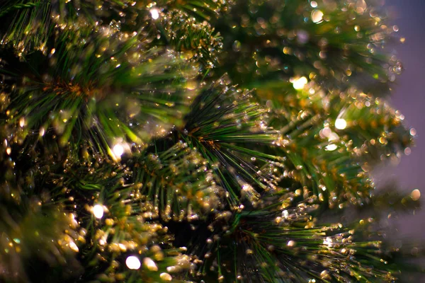 Abstraktní Rozostřený Pozadí Vánoční Dekorace Led Světlo Bokeh Detailní Foto — Stock fotografie