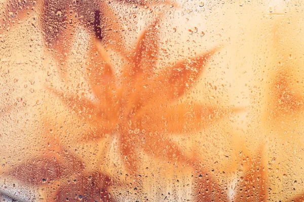 Cae lluvia sobre la ventana —  Fotos de Stock