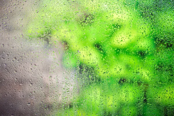 Cae lluvia sobre la ventana —  Fotos de Stock