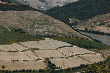 Portekiz Pinhao köyden Douro Vadisi ve nehir, Portekiz için görüntüleyin