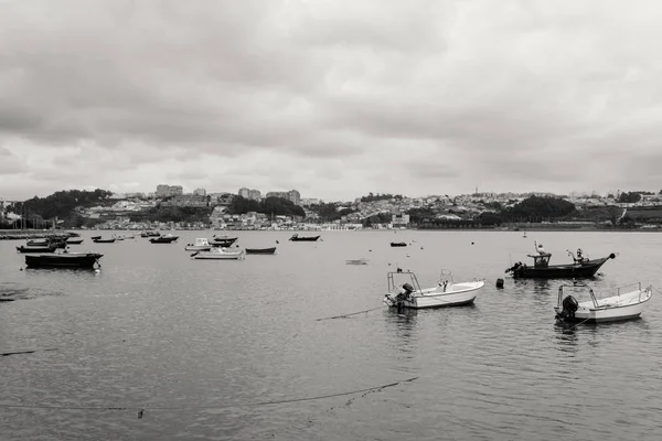 Förankrade Fiskebåtar Floden Douro Porto Portugal — Stockfoto