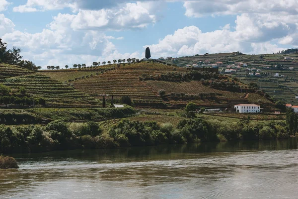 PESO DA REGUA, PORTUGAL - April 29, 2016: Sandeman logo on the top of the hill in Peso Da Regua in the northern region of Portugal