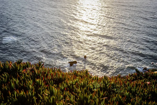 Vista Panoramica Delle Scogliere Cabo Roca Tramonto — Foto stock gratuita