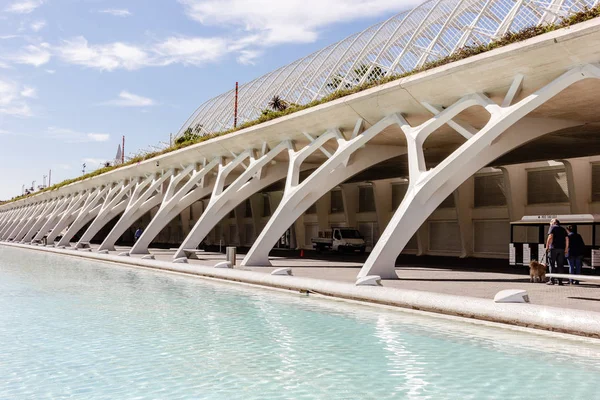 Valencia Hiszpania Kwiecień 2016 Miasto Sztuki Nauki Zaprojektowany Przez Architekta — Zdjęcie stockowe