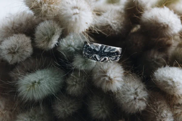 Ape shape ring on dry flowers — Stock Photo, Image