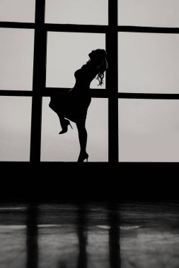 Seksi kadın silueti