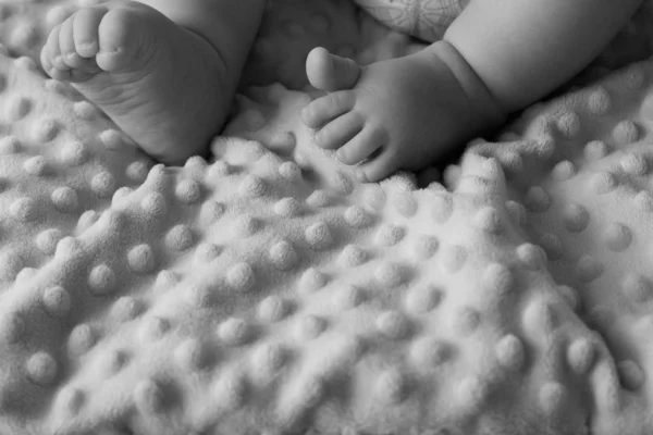 Small baby legs — Stock Photo, Image