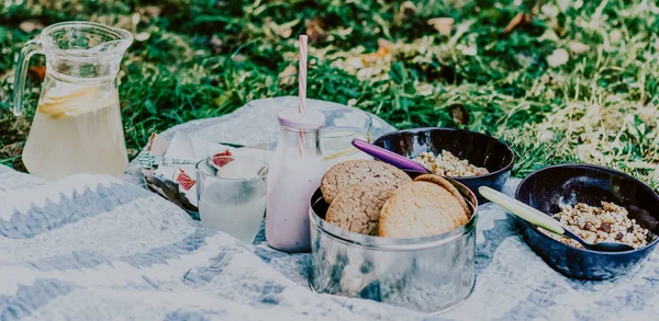 Cibo da picnic sano — Foto Stock