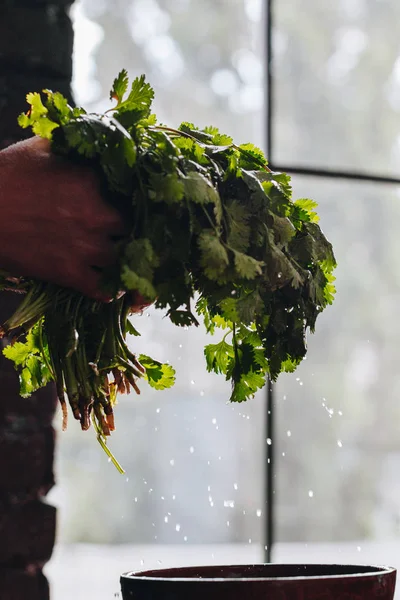 Woman washing fresh parsley — Stock Photo, Image