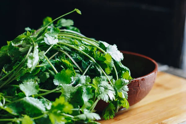 Fresh parsley and cilantro — Stock Photo, Image