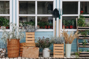 Ağaç evin önündeki vazoda kurumuş çiçekler.