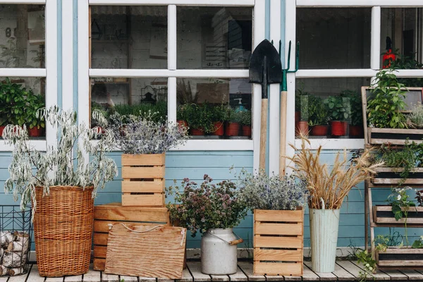 Bunga Kering Vas Wicker Depan Rumah Kayu — Stok Foto