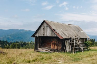 Karpatlar 'da eski ahşap evleri olan resimli dağ manzarası