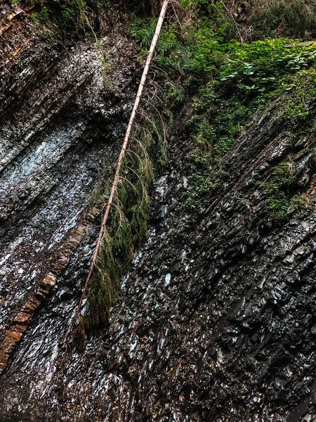 Mörk Bergstruktur Med Furu — Stockfoto