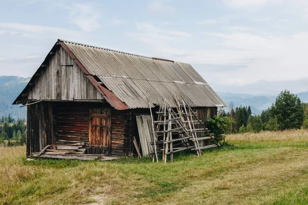 Karpatlar 'da eski ahşap evleri olan resimli dağ manzarası