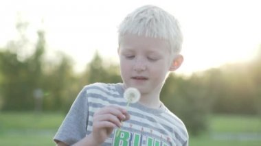 Çocuk albino bir karahindiba esiyor. Ağır çekim.