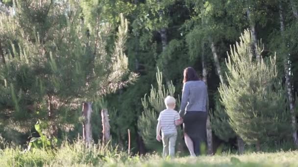 Femme et un garçon marchent dans les bois — Video