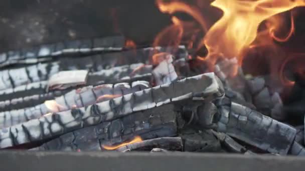 Fuego Está Encendido Lenguajes Llama Leña Primer Plano — Vídeo de stock