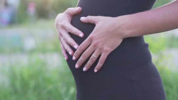 Uma mulher está a acariciar o estômago. Ela está esperando o bebê — Vídeo de Stock