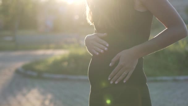 Une femme enceinte. Le début du deuxième trimestre — Video