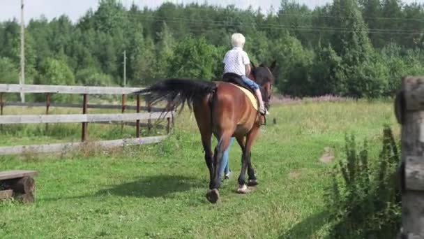 Chlapec na koni. Malý Plavovlasý chlapec sedí na velký červený kůň — Stock video