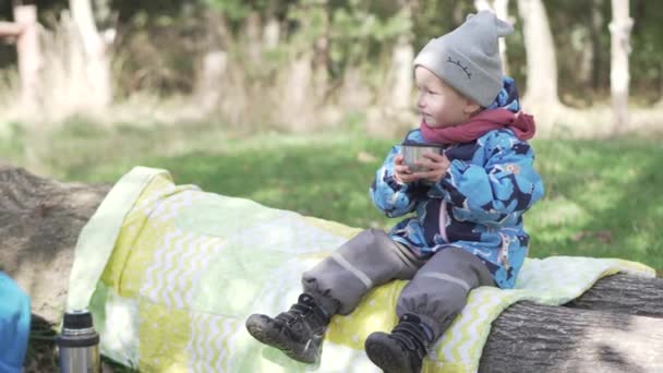 Una bambina è seduta su un ceppo in una foresta autunnale — Video Stock