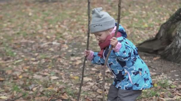 Malá holčička na procházku v podzimním lese. — Stock video