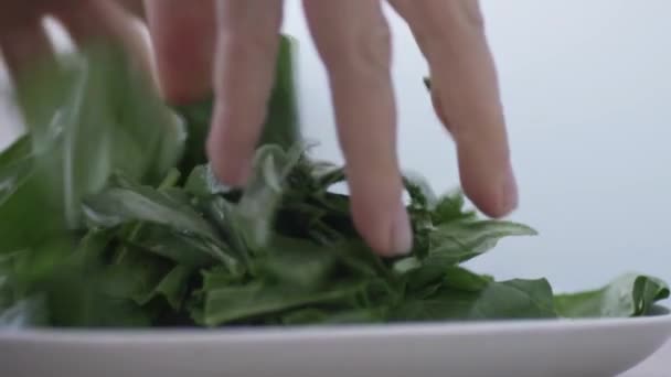 Grandi foglie verdi di spinaci cadono lentamente sul piatto — Video Stock