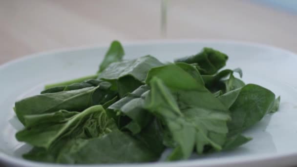 Large green leaves of spinach slowly fall on the plate — Stock Video