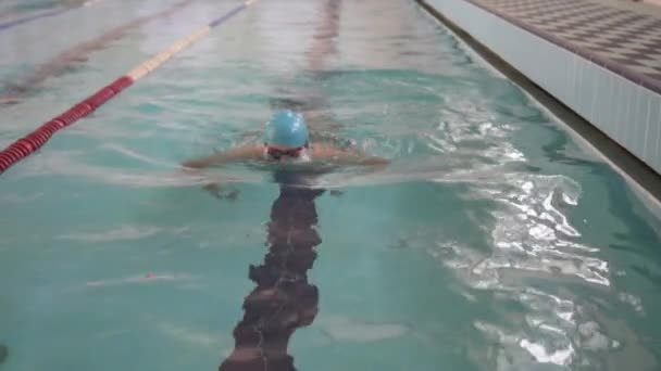 Nadador en entrenamiento. Nadar en la piscina — Vídeos de Stock