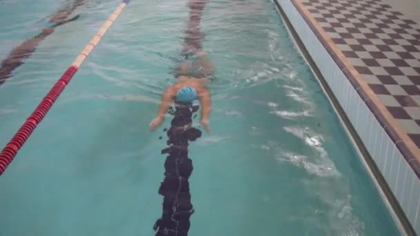 Człowiek pływanie stylem klasycznym w basenie. — Wideo stockowe