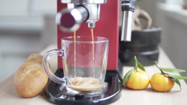 Rode koffie-/ theevoorzieningen brouwt koffie in een transparante glazen beker — Stockvideo