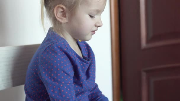Egy aranyos kis lány átölelte szürke mackó — Stock videók