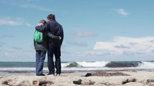 En äldre man och kvinna står med ryggen till kameran — Stockvideo