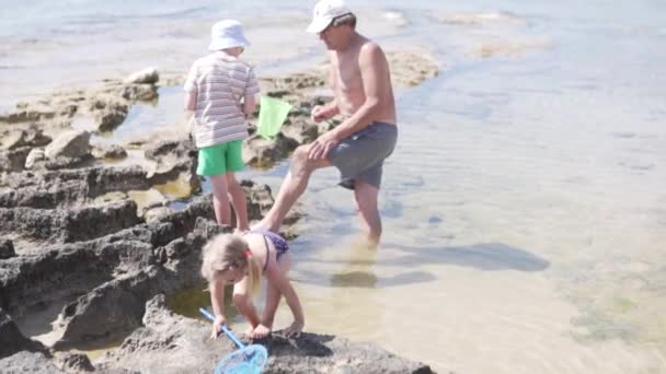 Grootvader met kleinkinderen spelen op het strand aan zee — Stockvideo