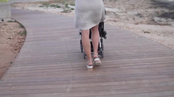 Moeder wandelen met een kinderwagen in de par — Stockvideo