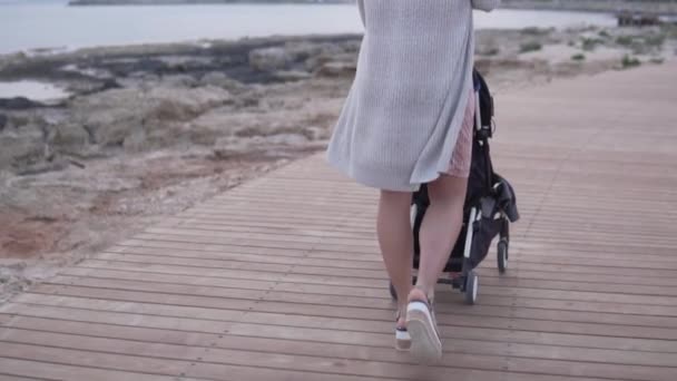 Madre caminando con un cochecito en el parque cerca del mar — Vídeos de Stock