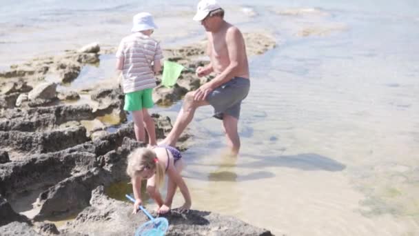 Grand-père avec petits-enfants jouant sur la plage au bord de la mer — Video