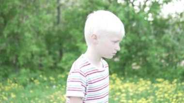 Yakışıklı albino çocuk papatyalar ile bir alanda yürüyüş