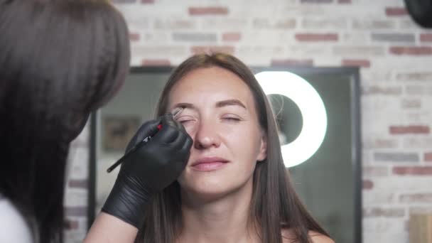 Måla ögonbryn i en skönhets salong. Kosmetolog ger form till ögonbrynen och målar dem i en mörk färg — Stockvideo